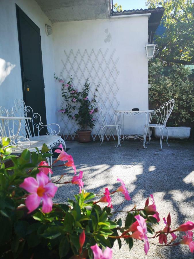 マリーナ・ディ・カッラーラ Nonna Piera Bed & Breakfast エクステリア 写真