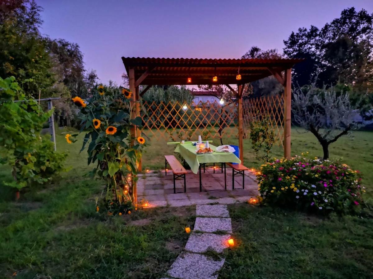 マリーナ・ディ・カッラーラ Nonna Piera Bed & Breakfast エクステリア 写真